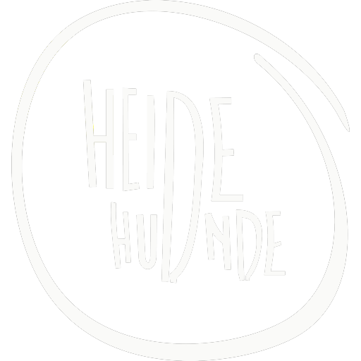 light logo